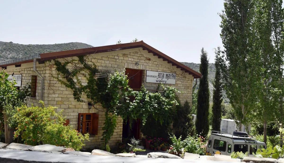 Ayia Mavri Winery