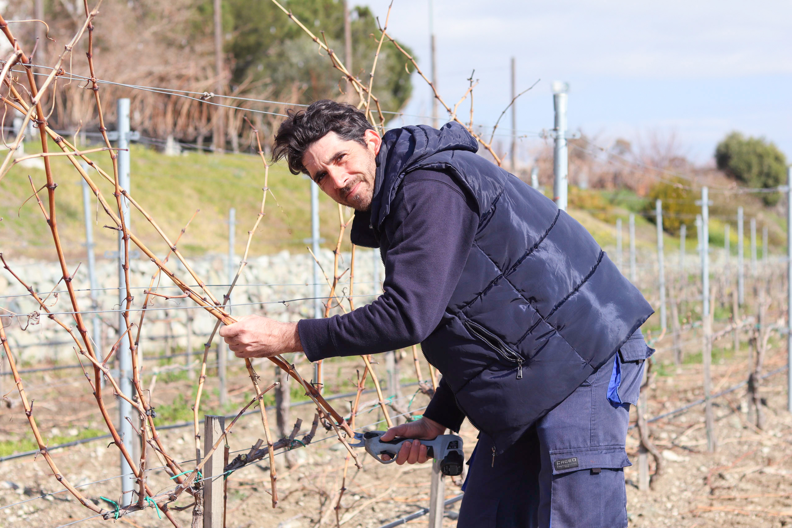 Aes Ambelis Winery