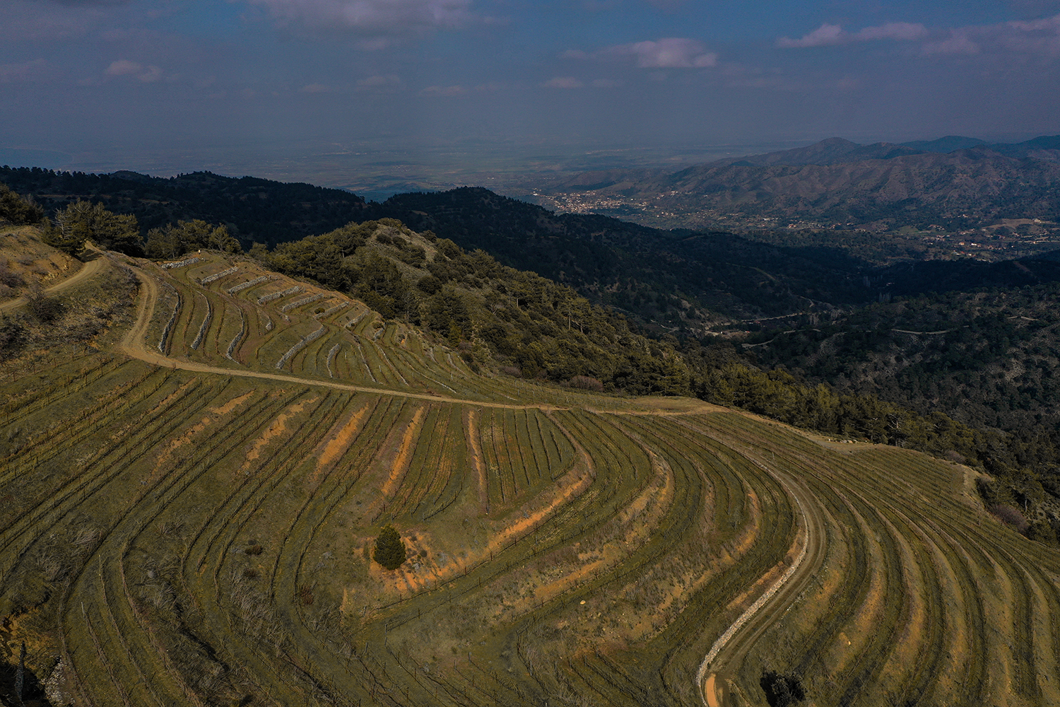 Marathasa Wines