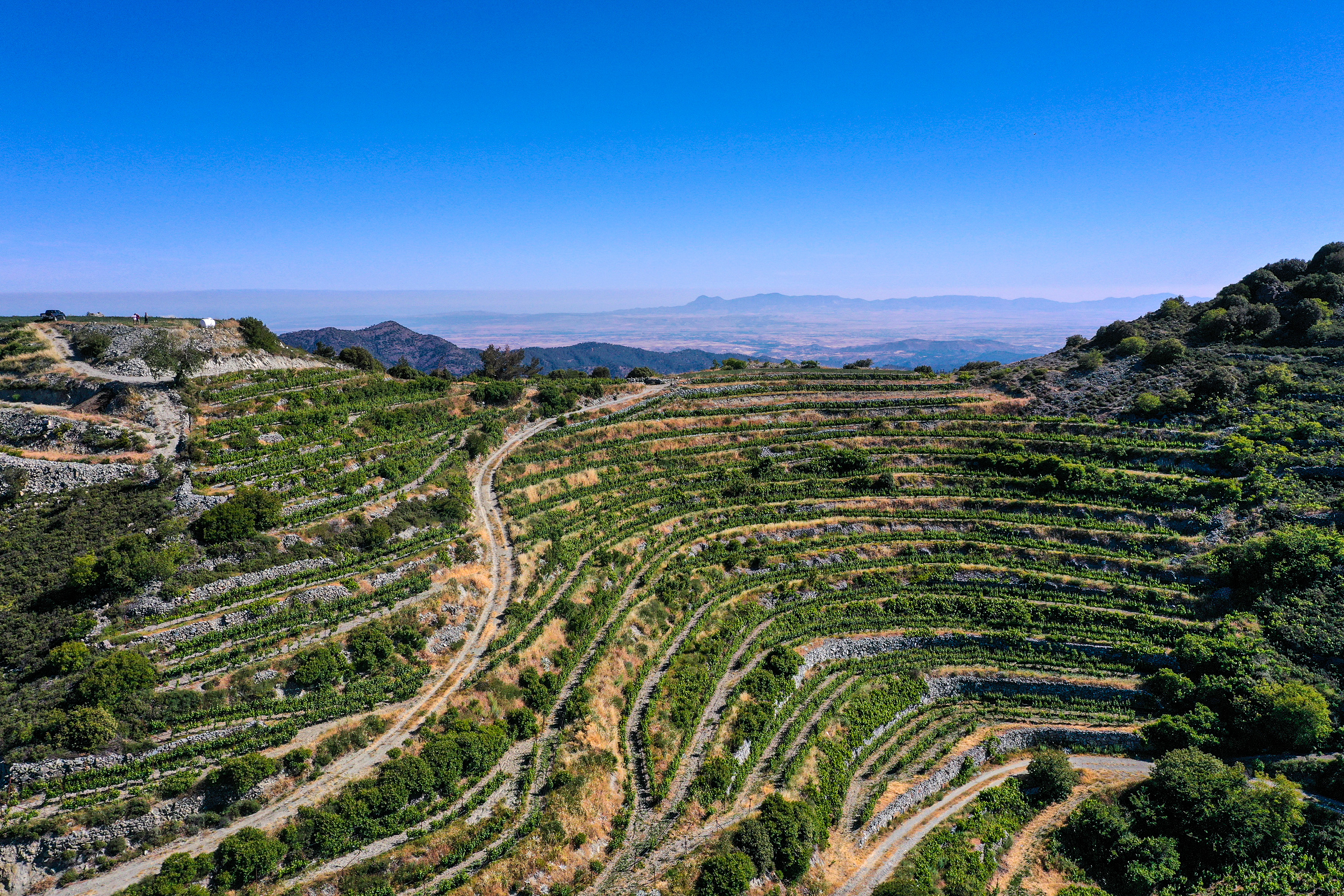 Tsiakkas Winery