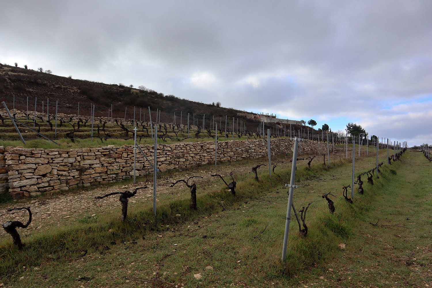 Zambartas Winery